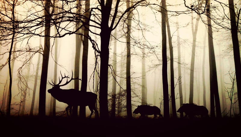 Silent Chronicles